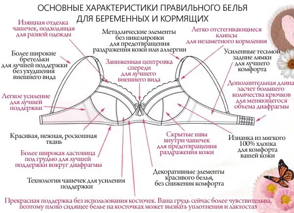 Детали бюстгальтера. Конструкция бюстгальтера. Части бюстгальтера названия. Формы чашечек бюстгальтера.