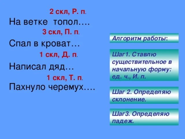 Ветви начальная форма. Начальная форма ветку. Начальная форма слова ветви. Сущ 1 скл в форме ед ч п п.