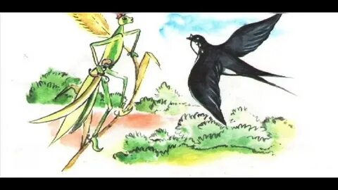 Үлкен көкіректі әтештердің суреті