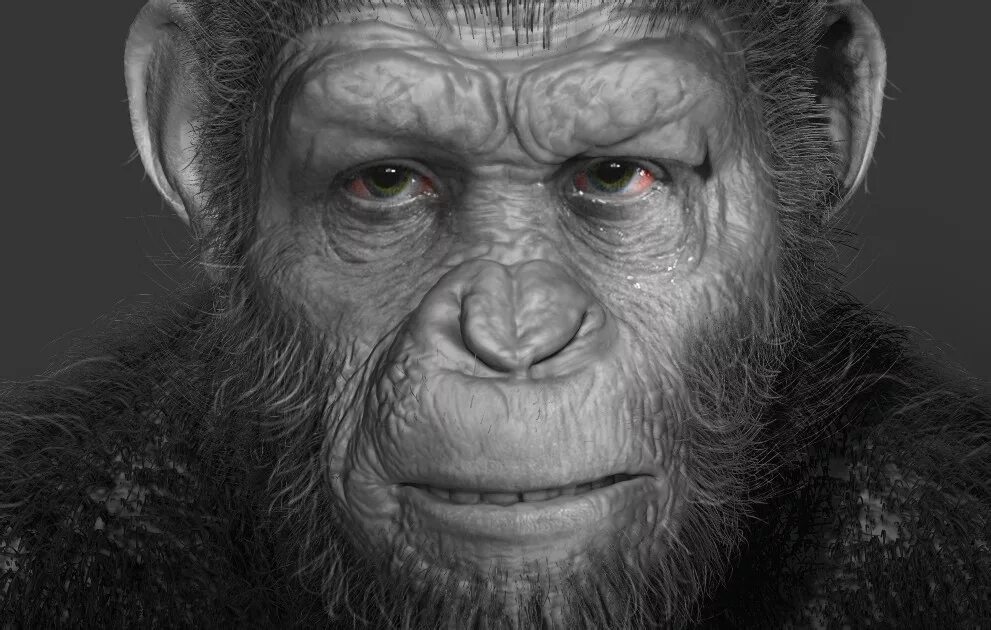 Caesar planet of the apes. Planet of apes caesar arts. dawn of the planet of the apes caesar.