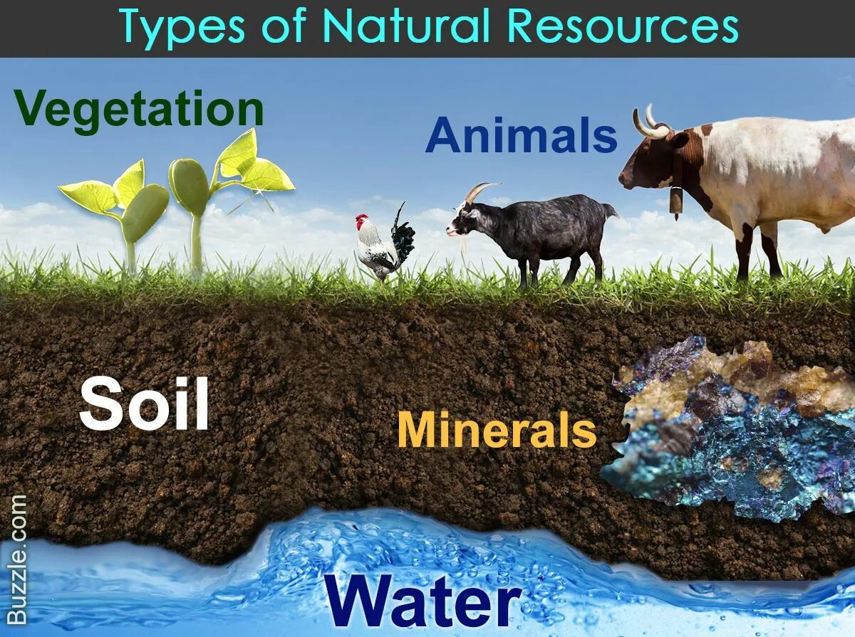 Resources be. Types of natural resources. Natural resources is. Natural resources are. What is natural resource.
