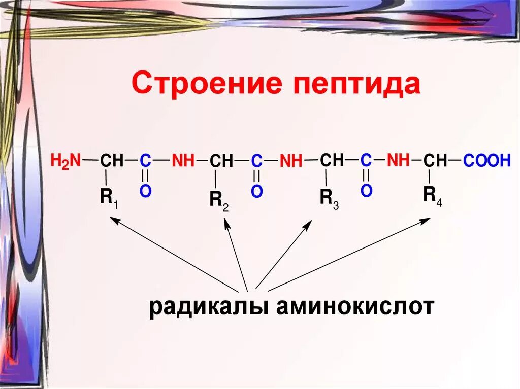 Форма молекулы полипептида. Пептидная связь химическая структура. Строение пептидной связи. Структура пептидной связи. Пептиды строение пептидной связи.