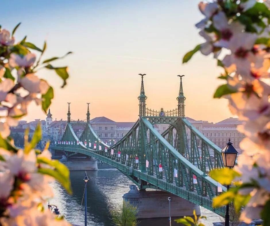 Венгрия будапешт природа. Городской парк будапешта. Венгрия вена. Парк варошлигет. Венгрия весной.