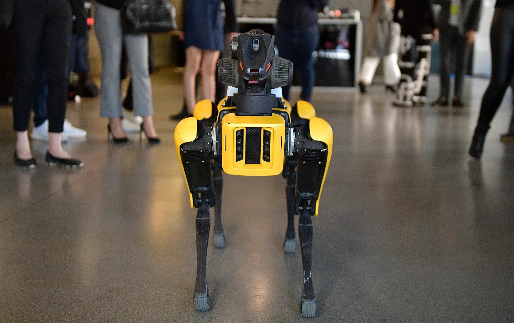 Самого дорогого робота. Робот собака Бостон Динамикс. Бостон Дайнемикс боевой робот. Spot (Boston Dynamics, США). Boston Dynamics робот и человек.