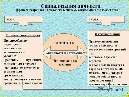 Социализация личности в институте образования