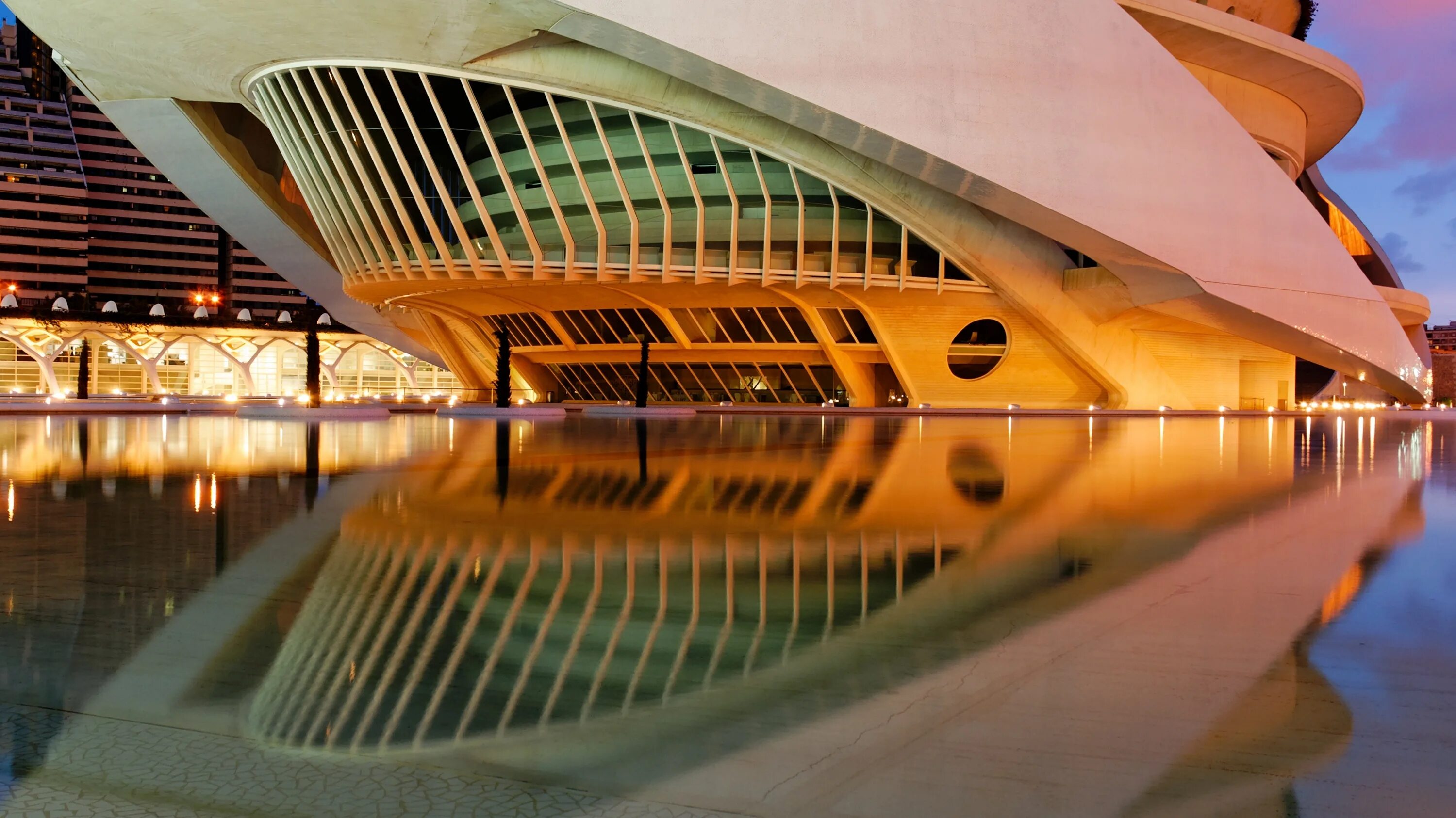 Египет. Дзот / дерево земляная огневая точка. Palau de les arts reina sofía внутри. Фортификационное сооружение бункер. Амфитеатр флавиев колизей.