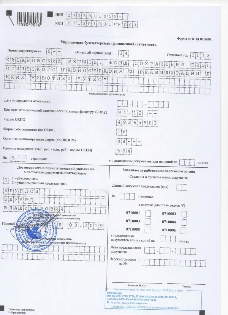 Код отчетности периодов. Упрощенная форма бухгалтерской отчетности. Упрощенная бухгалтерская финансовая отчетность. Форма 0710096. КНД 0710096.