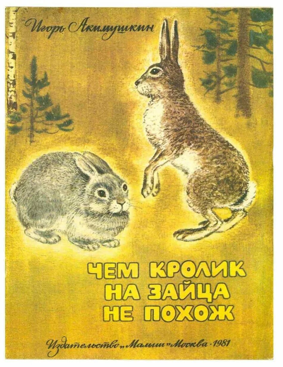 Книга про зайца. Акимушкин книги.