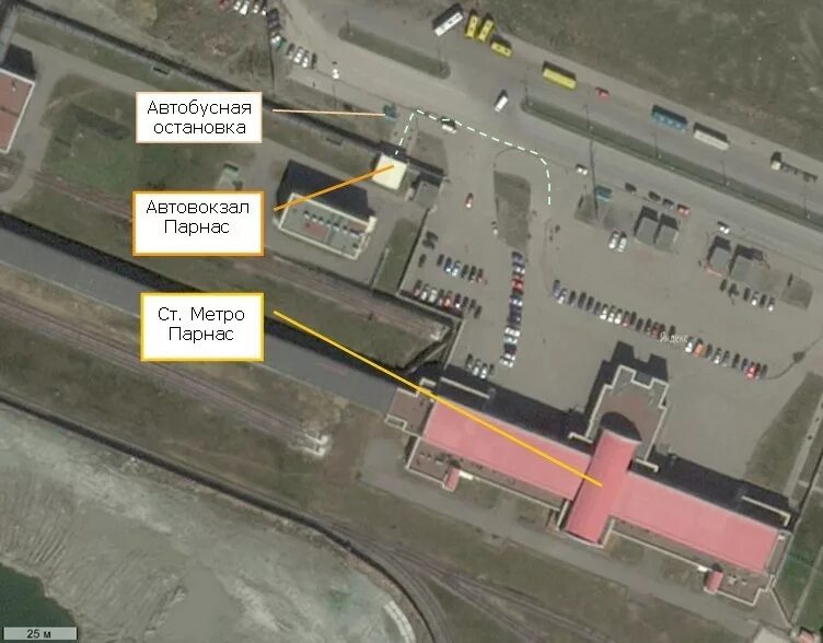 станция метро парнас спб. станция метро парнас. парнас станция метро карта. схема станции парнас. метро парнас автовокзал.