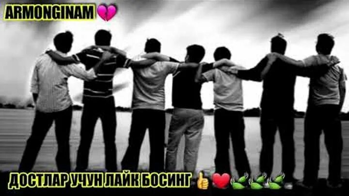 Дустлар бир. Статус шерлар. Дустлар бир. Фото dostlar. Шер дустлик.