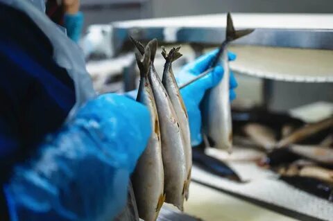 Балтийские морепродукты