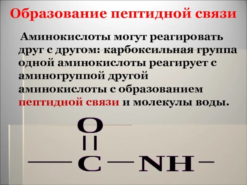 Аминокислоты образование пептидной связи. Аминокислоты способны реагировать с. Аминокислоты могут взаимодействовать друг с другом. Аминокислоты способны реагировать с аминами. Сколько пептидных связей в аминокислотах