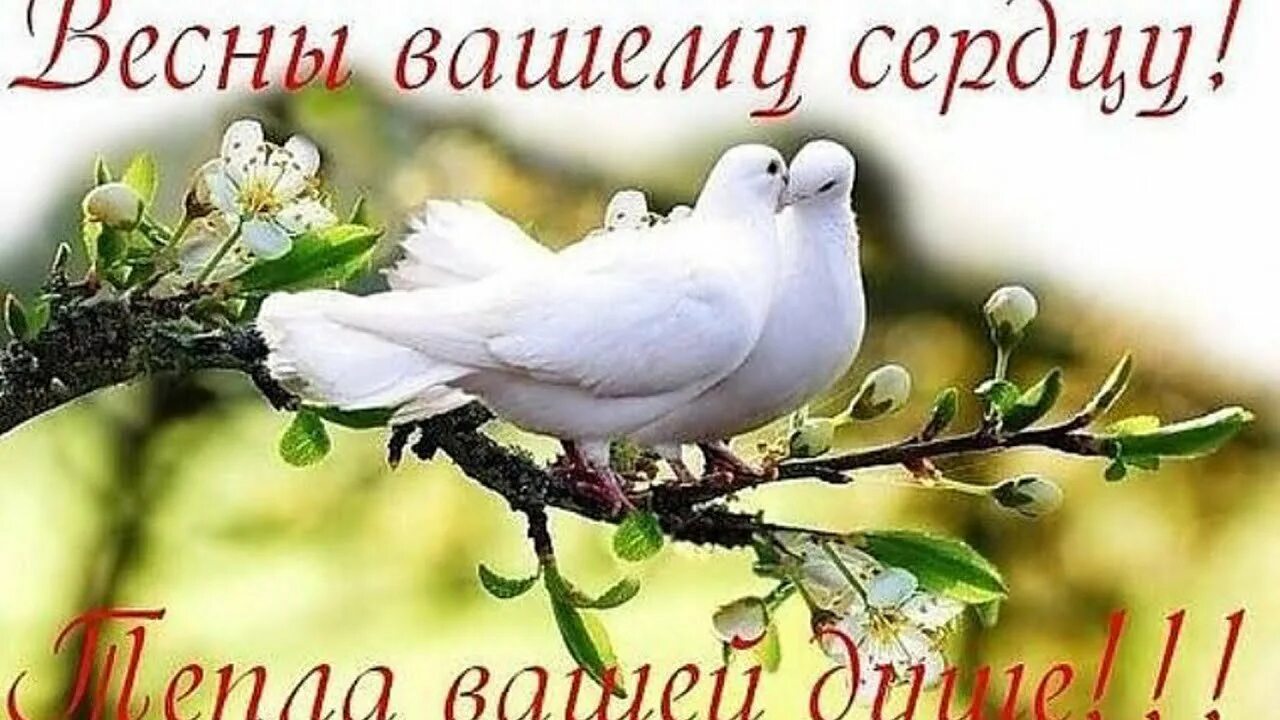 Картинки с добрым утром православные красивые весенние