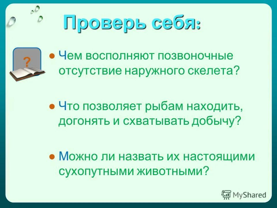 Какие преимущества дает животным наличие внутреннего скелета. Какие преимущества даёт животным наличие внутреннего скелета. Достоинствами внутреннего скелета являются. Какие преимущества дает животным наличие внутреннего скелета. Какие преимущества дает животным наличие внутреннего скелета.