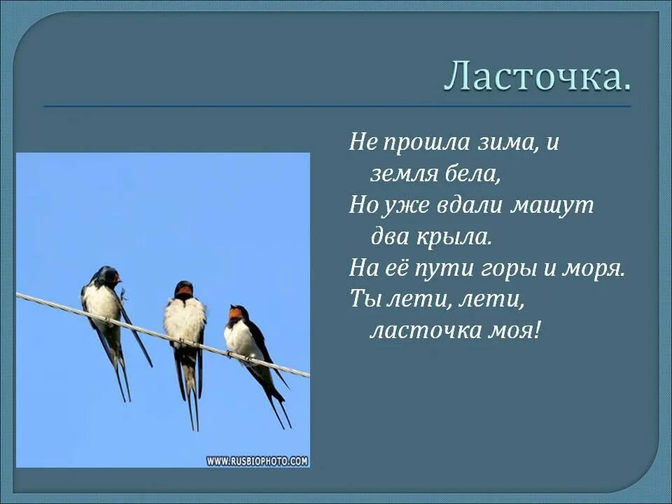 Крылатов ласточка слушать. Ласточка моя. Лети лети Ласточка. Ты лети Ласточка моя. Ласточка не прошла зима.