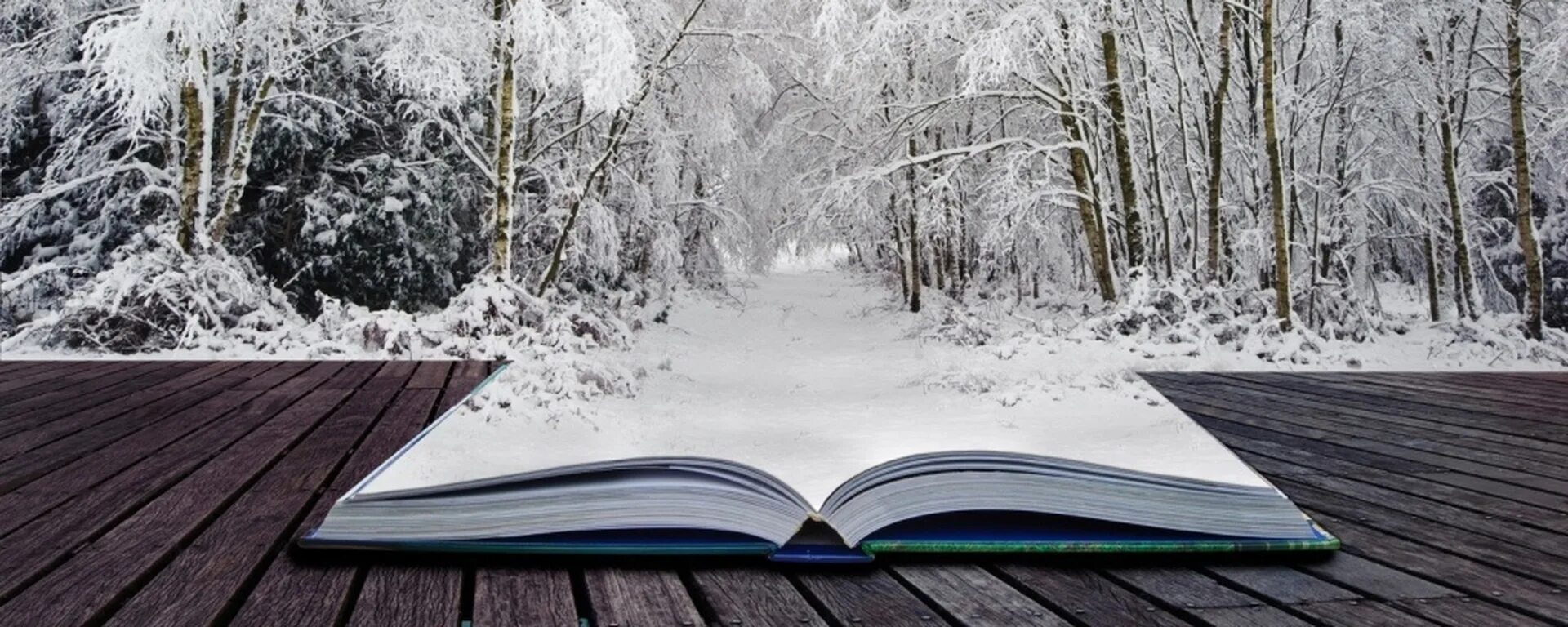 Книги winter. Книги зима. Зимняя книга. Зимняя книга. Зимнее чтение.