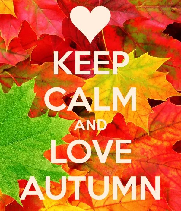 It was autumn and. It was autumn and