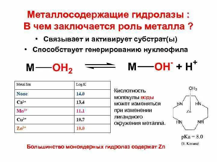 Металлосодержащие кислоты. Металлосодержащие соединения. Гидролазы роль. Металлосодержащие красители. Класс гидролаз