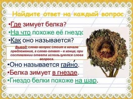 Белок вопрос ответ
