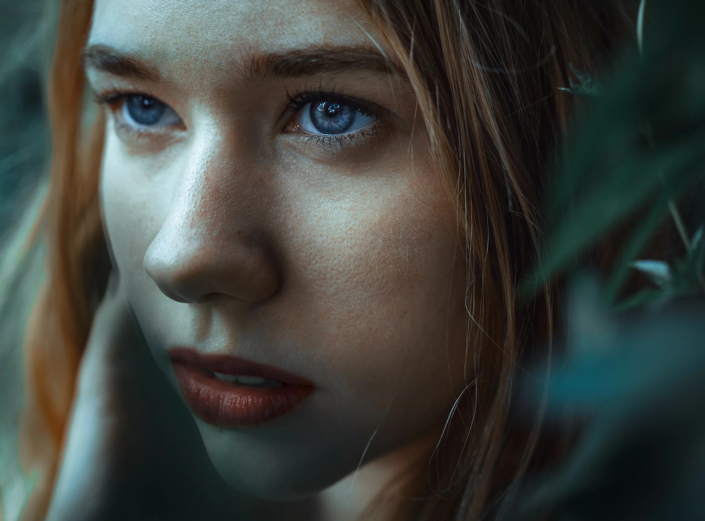 Лицо кадр. Портрет HD. Портрет людей HD. Лицо человека HD. Живые женские лица.