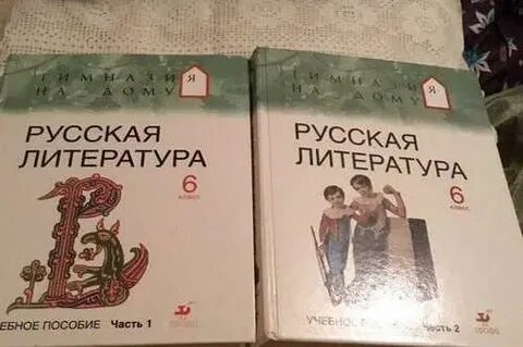 6 класс русский язык и литература учебник