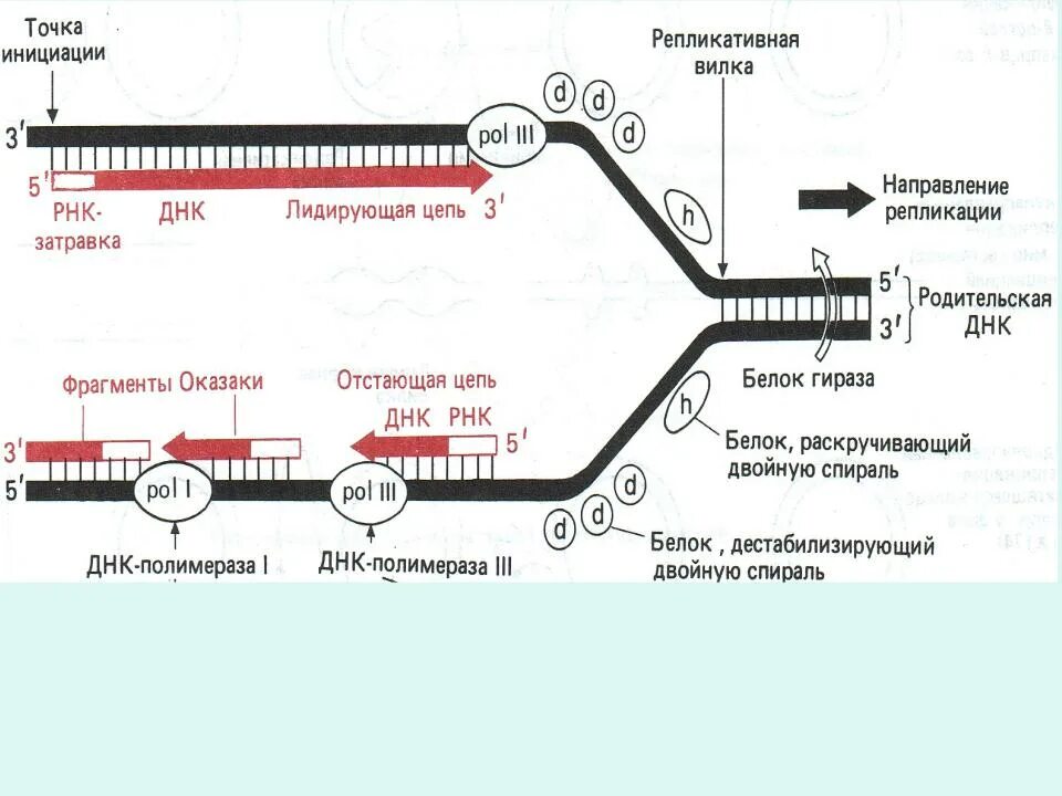 Проверка репликации. Проверка репликации