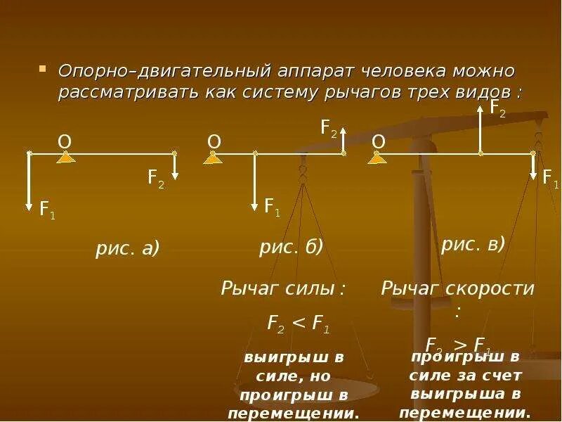 Какой выигрыш в силе дает рычаг. Выигрыш в силе рычага. Как найти выигрыш в силе для рычага. Ода система трёх типов рычагов. Рычаги выигрыш в перемещении.