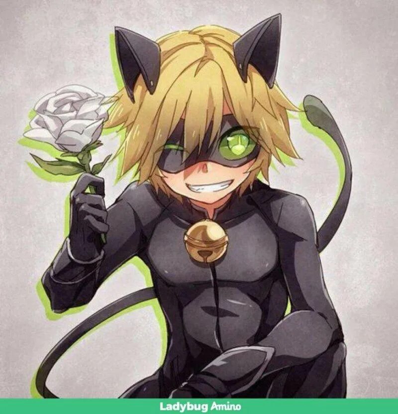 Супер кот. Леди баг and cat noir. Кот нуар арт. Кот нуар в полный рост. Black cat нуар.