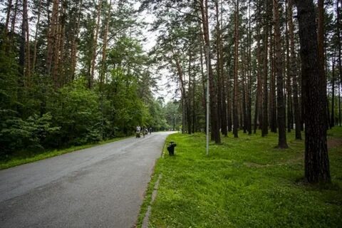 Как доехать до заельцовского парка
