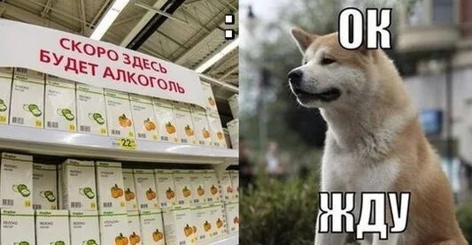 Мы тебя ждали надпись. Жду открытки прикольные. Я жду тебя. Я буду ждать тебя. Ну мы ждем.