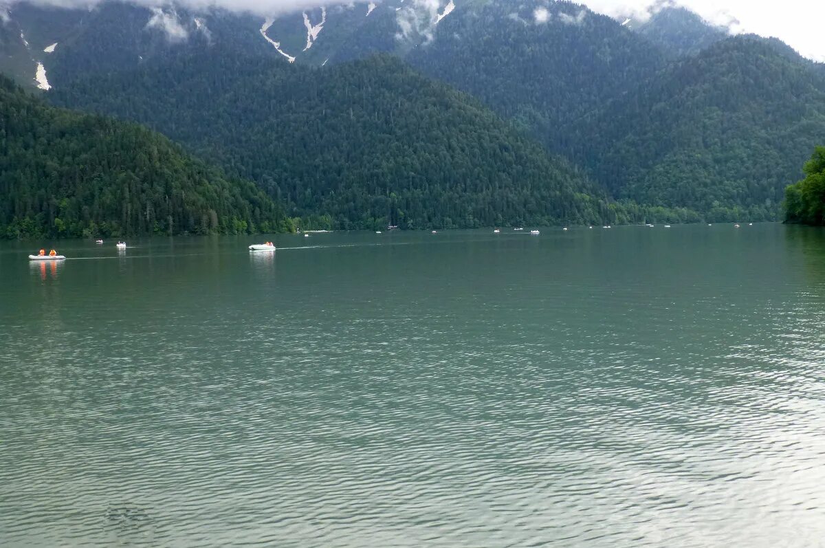 Рицинский парк абхазия. Голубое рица абхазия. Абхазия горное озеро рица. Озеро рица абхазия. Рицца абхазия озеро рица.