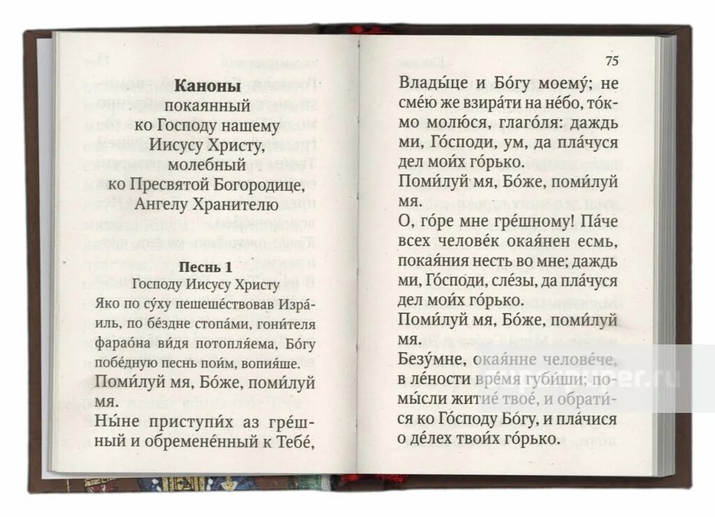 Канон покаянный ко господу иисусу христу читать. Молитва ангел вопияше. Ангел вопияше текст молитвы. Покаянный ко Господу Иисусу Христу. Молитва ангел вопияше Благодатней.