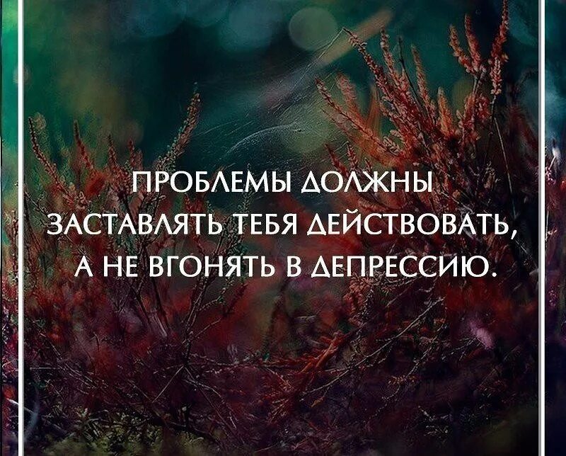 Помогаю умным людям