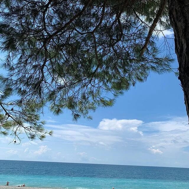 климат в пицунде в сентябре. абхазия пицунда гостиницы на берегу моря. арбика пансионат абхазии. мыс пицунда абхазия. питер пицунда.