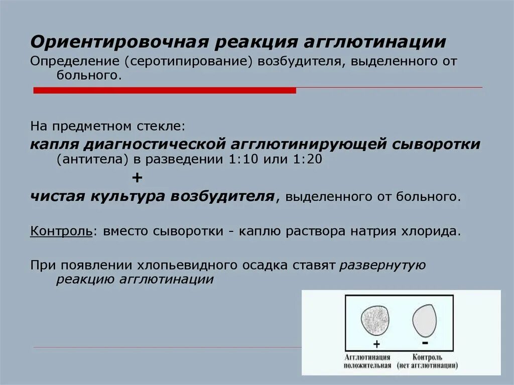 Интерпретация реакции. Ориентировочная реакция агглютинации. ориентировочная реакция агглютинации компоненты реакции. принцип постановки ориентировочной реакции агглютинации на стекле. ориентировочная реакция агглютинации на стекле.