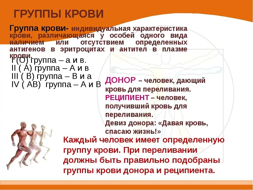 Особенности 3 положительной группы. Характеристика групп крови. Группы крови.э характеристика.. Характер человека по группе крови. Характеристика групп крови человека.