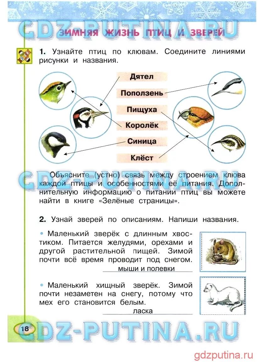 Окружающий мир 2 класс посмотри. Окружающий мир название 2 класс. Окружающий мир рабочая тетрадь часть вторая 2 класс Плешаков Новицкая. Зимняя жизнь птиц и зверей 2 класс окружающий мир рабочая тетрадь. Окружающий мир 2 класс рабочая тетрадь 2 часть Плешаков Новицкая.