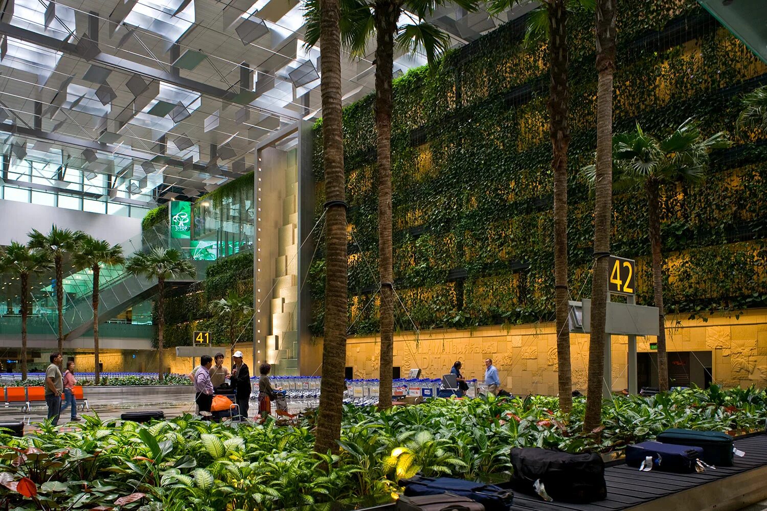 Чанги сады. Аэропорт Чанги Сингапур. Аэропорт Чанги Сингапур внутри. Сингапурский аэропорт Чанги терминал 3. 1. Аэропорт Чанги, Сингапур.