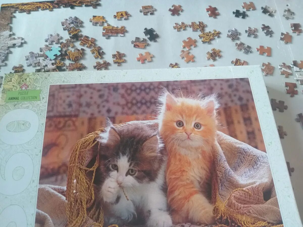 Пазлы котята собранный. Пазлы с котятами собирать. Step Puzzle animal collection 1500 котята собранный. Пазл котята в весенних цветах.