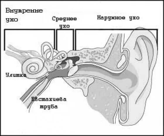 Внутреннее ухо головокружение. Среднее ухо головокружение.