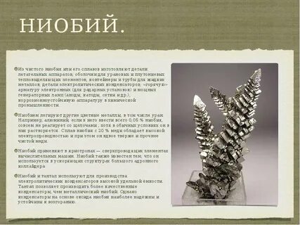 Современное название ниобия