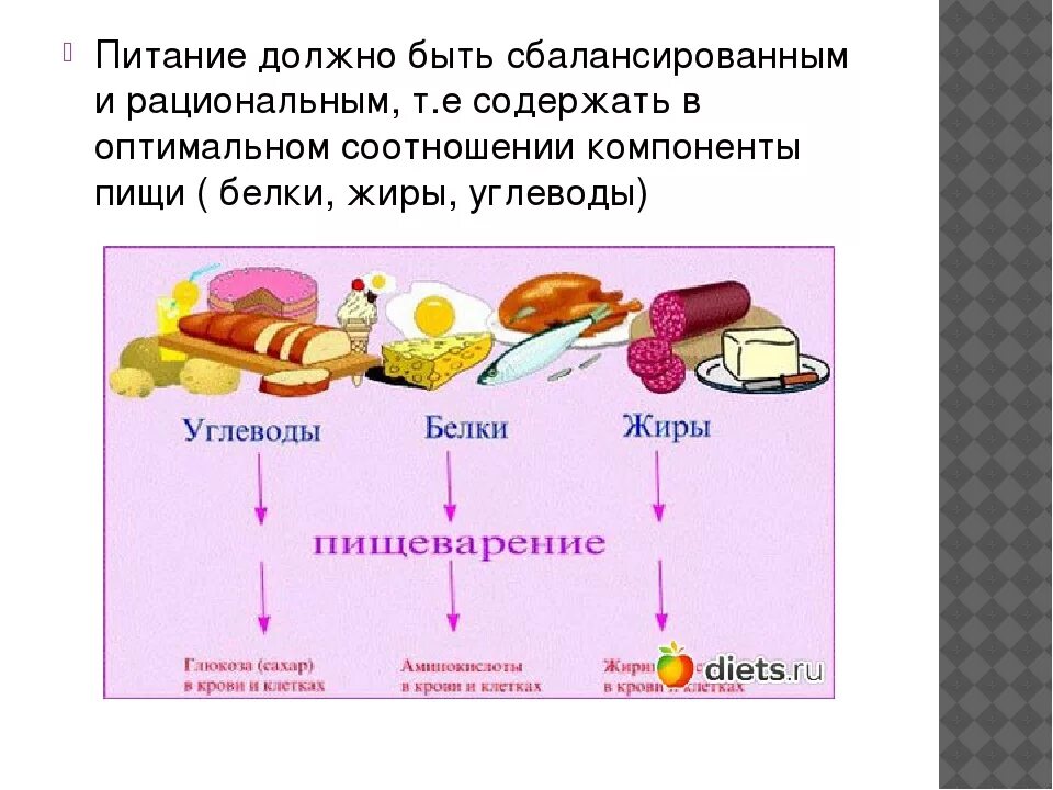 Почему пища необходима человеку. Рациональное сбалансированное питание. Почему питание должно быть сбалансированным. Понятие о рациональном и сбалансированном питании. Схема питания.