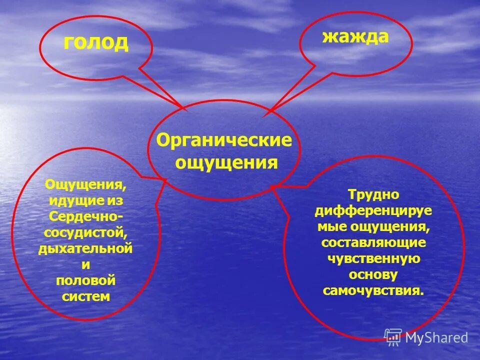 Чувственная составляющая. Органические ощущения. Характеристика органических ощущений. Органические ощущения в психологии. К органическим ощущениям относится.