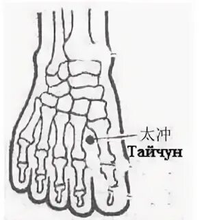 Тай чун
