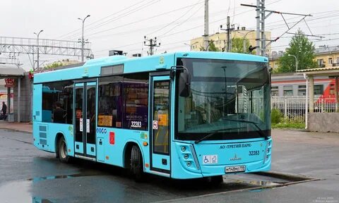 Автобус 206 спб