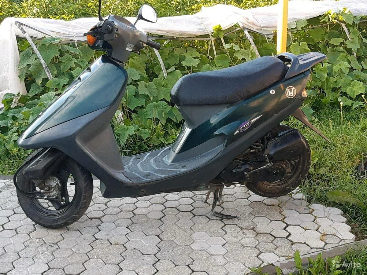 Honda tact af24. Хонда такт SZ 50. Honda Tact 30. Honda Tact 24.