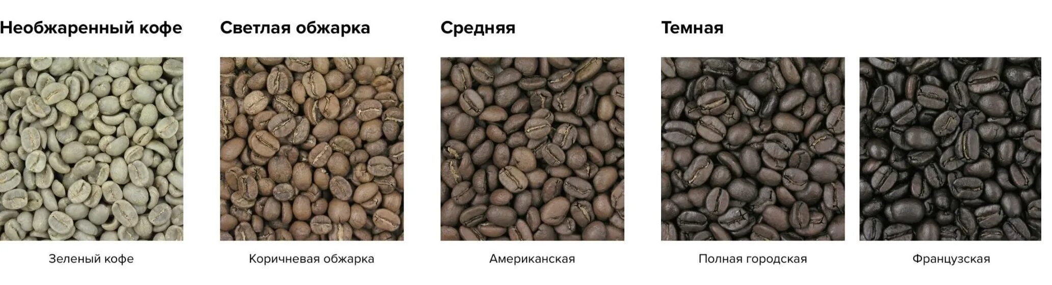 Мелет зерна обидевшись егэ. Степени обжарки кофе в зернах таблица. классификация степеней обжарки кофе. светлая средняя и темная обжарка кофе. сорта натурального кофе.