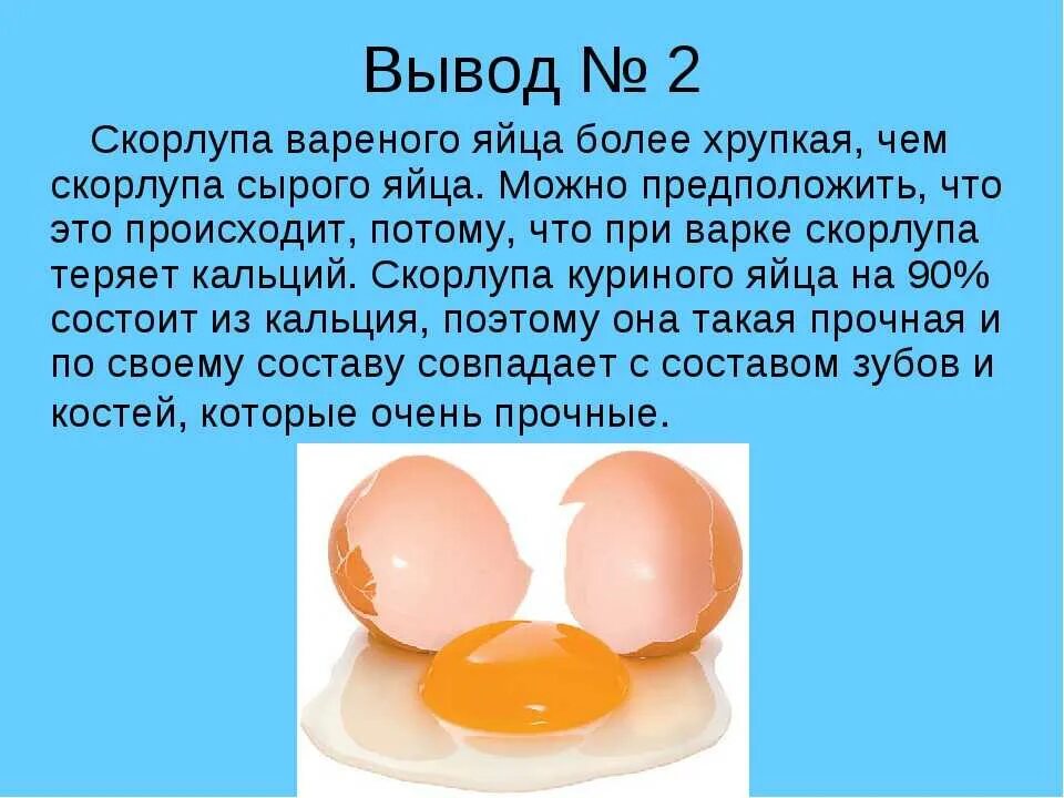 Яйцо куриное вареное. Интересные факты о яйцах куриных. Сырое яйцо. Куриное яйцо презентация. Можно ли давать щенкам яйца