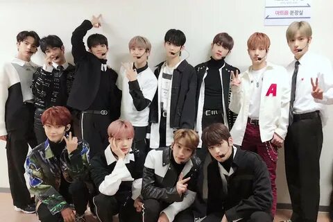 The boyz special unit