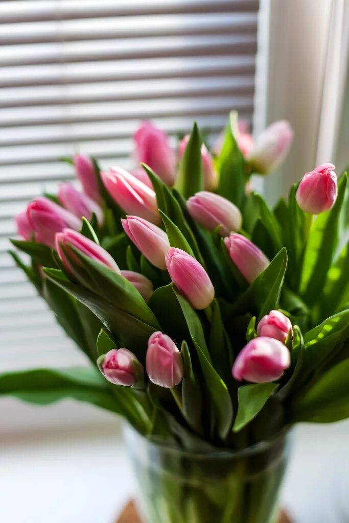 букет тюльпанов. композиция с тюльпанами. стильный букет тюльпанов. тюльпаны эстетика. букет тюльпанов дома.